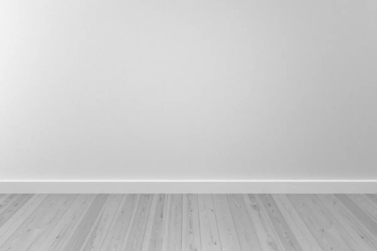 Immagine selezionata