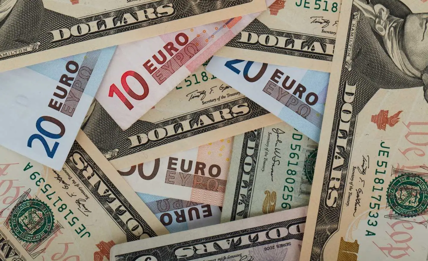 Immagine selezionata